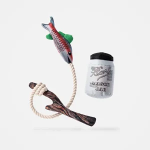 Durable Fish & Mason Jar Dog Toys 2 Pack for Aggressive Chewers