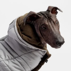 Jackson Dog Jacket Grey Water-Resistant Coat with Cold-Alert Patch & Reflective Safety Tape