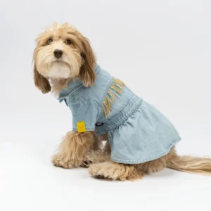 Ocean Denim Dog Dress Chic Festival-Ready Outfit with Rainbow Fringe & Leash Opening