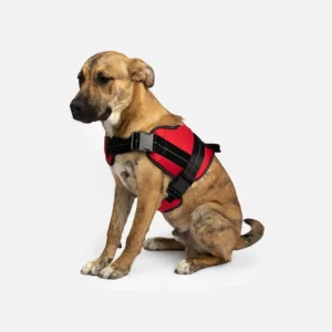 Heavy Duty Dog Harness Red | Adjustable, Durable & Reflective