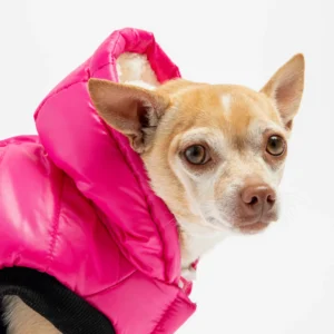 Emma Dog Jacket Shiny Raspberry Water-Resistant Winter Coat with Sherpa Lining