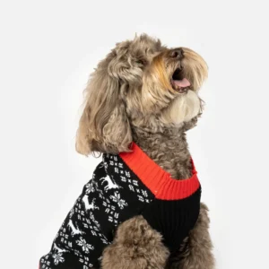 Reindeer Dog Sweater Cozy Holiday Knit with Festive Reindeer Design