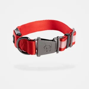 LED Dog Collar Rechargeable Light-Up Collar for Night Safety (Red)